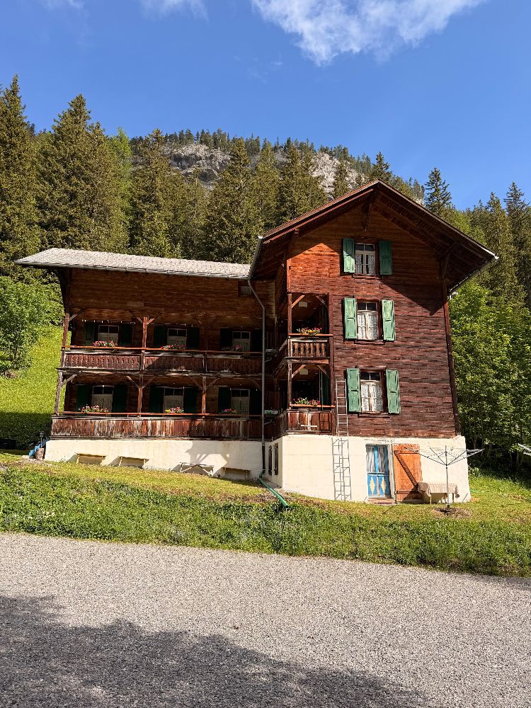 Bild%206